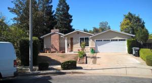 Pagoda Tree Ct.